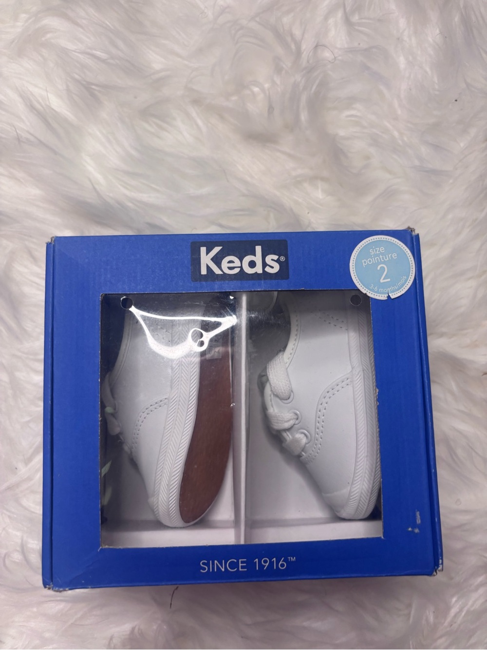 Keds Blue and White Shoe Box - Champ Lace TC Label Infant 2c